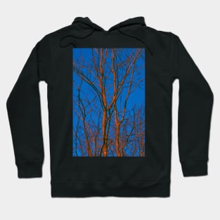 Neon Trees Hoodie